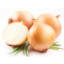 Agricultural products Wholesale new crop fresh yellow onion